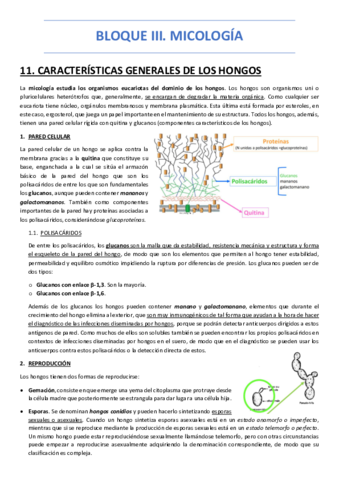 BLOQUE-III.pdf