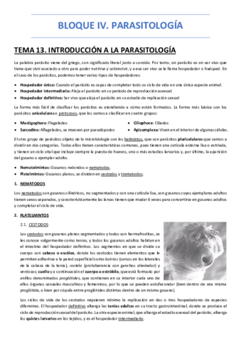 BLOQUE-IV.pdf