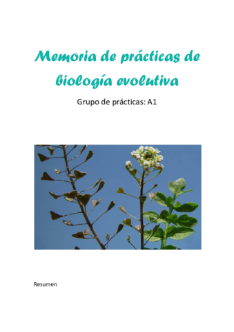 Memoria de practicas.pdf