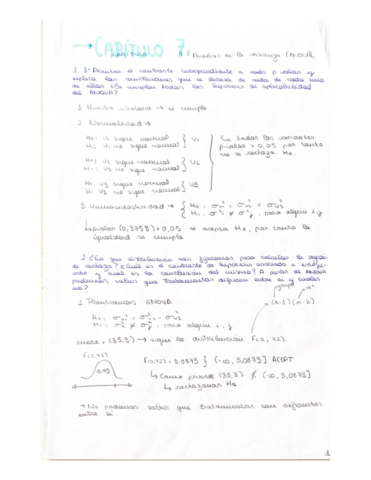 Capitulo-7.pdf