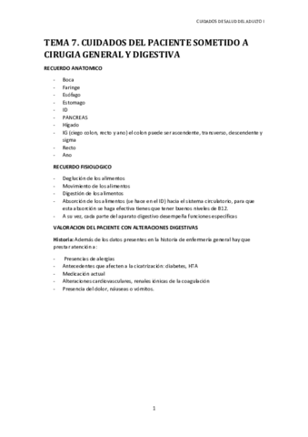 TEMA-7.pdf