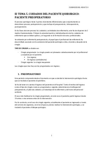 TEMA-5.pdf