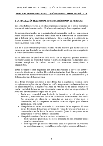 TEMA 1.pdf