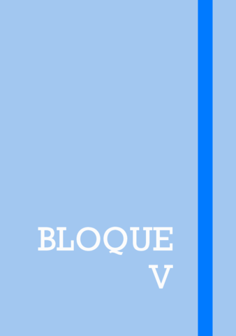 BLOQUE-V.pdf