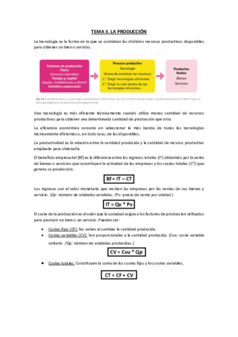 TEMA-3-ECONOMIA.pdf