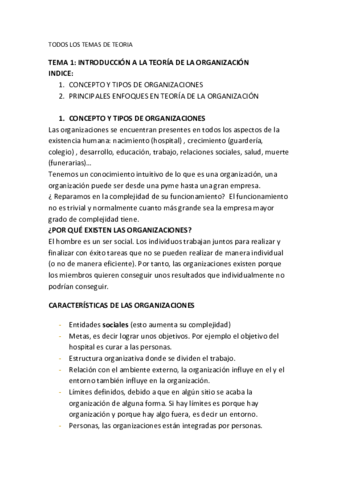TODOS-LOS-TEMAS-DE-TEORIA.pdf