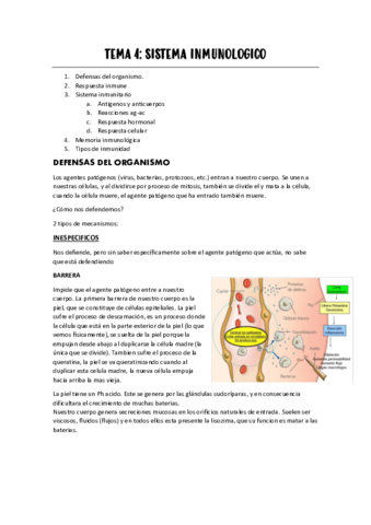 tema-4-sistema-inmunitario.pdf