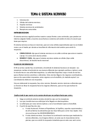 tema-6-sistema-nervioso.pdf