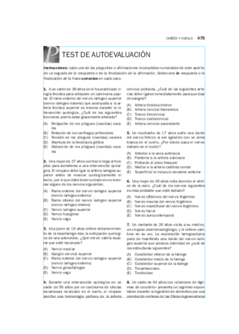 08AnatomiaBasica-copia.pdf