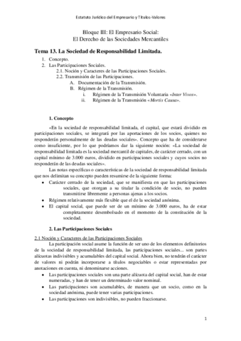 Tema-13.pdf
