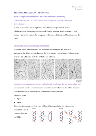 BIOLOGIA-MOLECULAR-I-GENOMICA.pdf