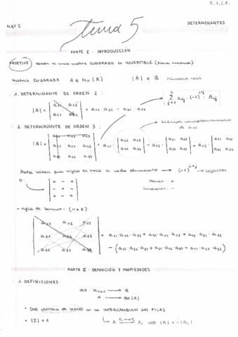 RESUMEN-2o-parcial-matrices-y-determinantes.pdf