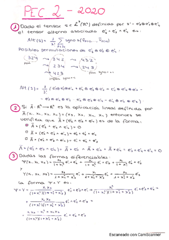 Campos-y-Formas.pdf