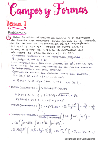 Campos-y-Formas.pdf