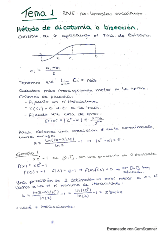 RNE-no-lineales-escalares.pdf