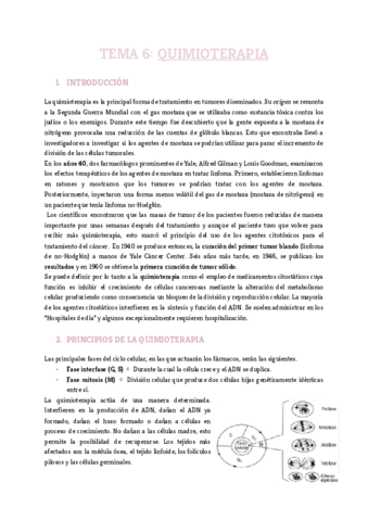 Tema-6.pdf