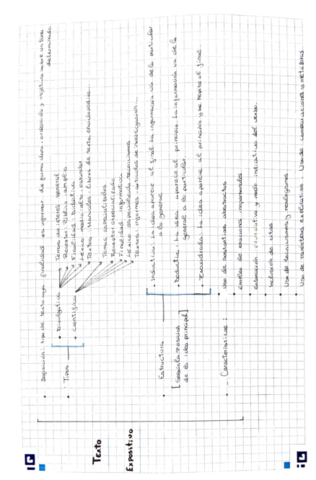 tesxto-expositivo.pdf