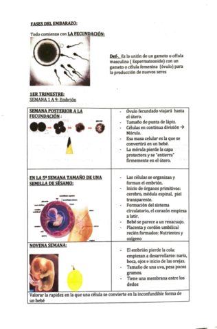 Adobe-Scan-6-jul-2021-2.pdf