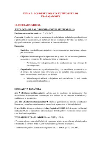 TEMA-2.pdf