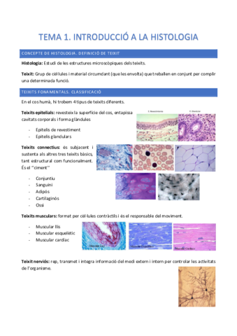 HISTOLOGIA-COMPLET.pdf