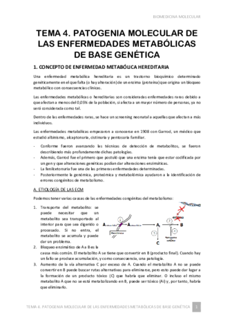 TEMA-4.pdf
