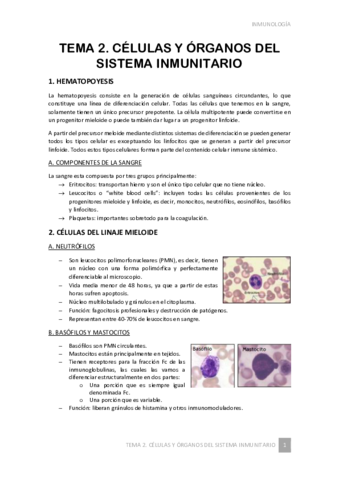 TEMA-2.pdf