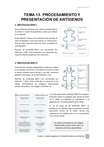 TEMA-13.pdf