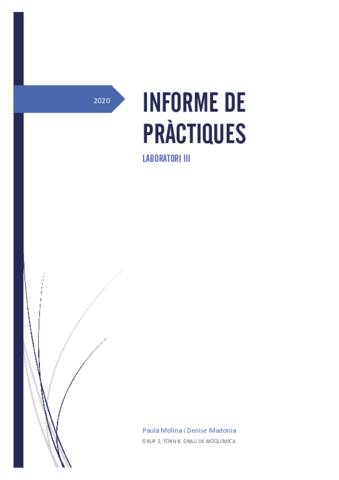 Informe-Laboratori-III.pdf