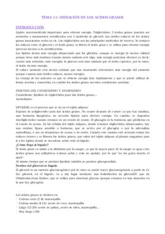 TEMA 11. METABOLISMO.pdf