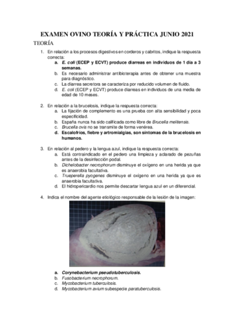 EXAMEN-OVINO-TEORIA-Y-PRACTICA-JUNIO-2021.pdf