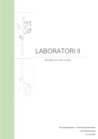 LYDIAPICAZOLAB2INFORME.pdf