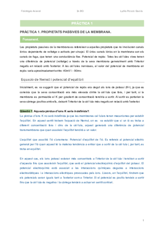 INFORMEFISIO.pdf