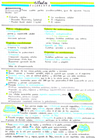 Biologia-CelulaEucariota.pdf