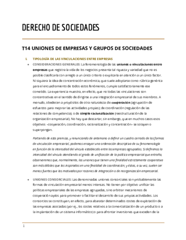 T14-UNIONES-DE-EMPRESAS-Y-GRUPOS-DE-SOCIEDADES.pdf