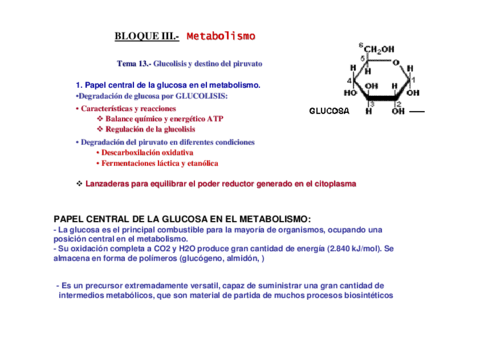 Metabolismo-de-carbohidratos.pdf