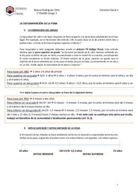 DETERMINACIÓN DE LA PENA.pdf