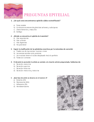 Preguntas-epitelio-revestimiento-y-glandular.pdf