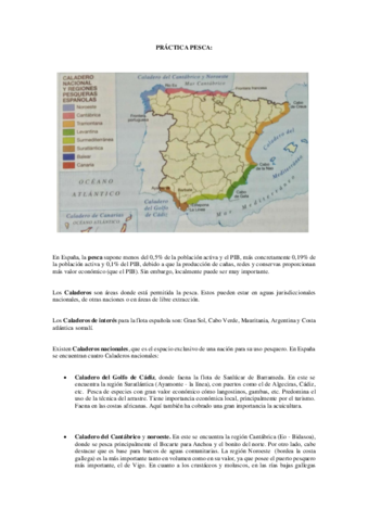 practica-t.pdf