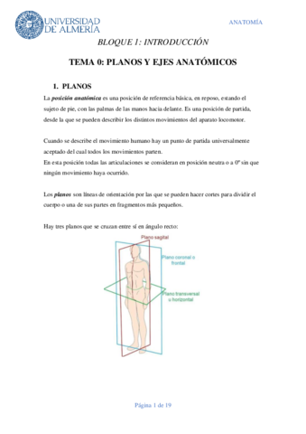TEMA-0-PLANOS.pdf