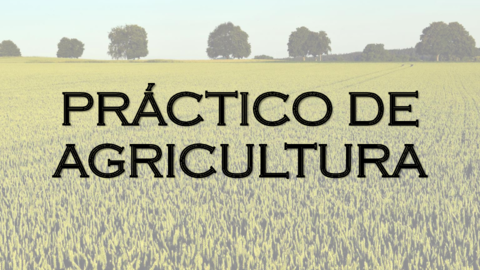 PRACTICO-DE-AGRICULTURA.pdf