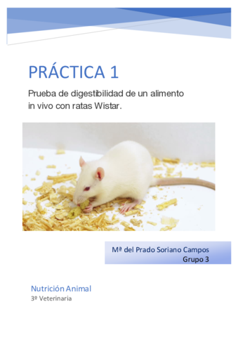 P1-Ma-del-Prado-Soriano.pdf