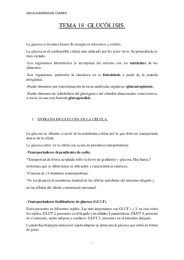 TEMA 18.pdf