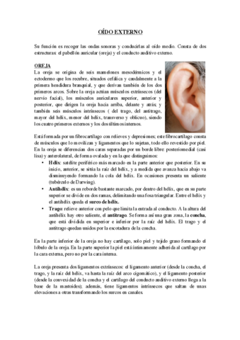 OIDO-EXTERNO.pdf