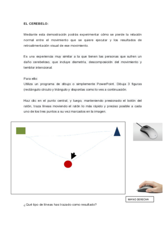 DEMO-CEREBELO.pdf