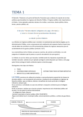 TEMA 1.pdf