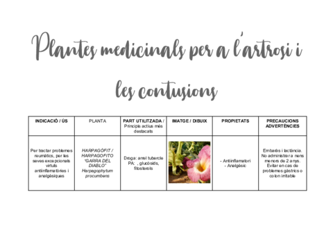 pm-artrosi-i-contusions.pdf