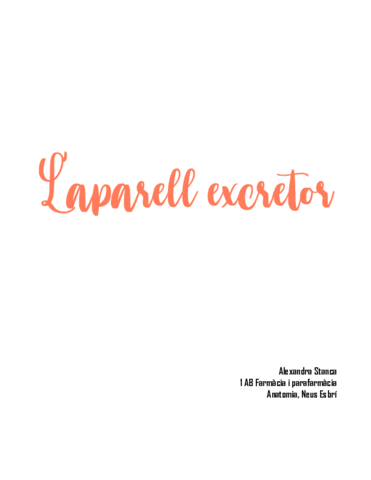 resum-aparell-excretor.pdf