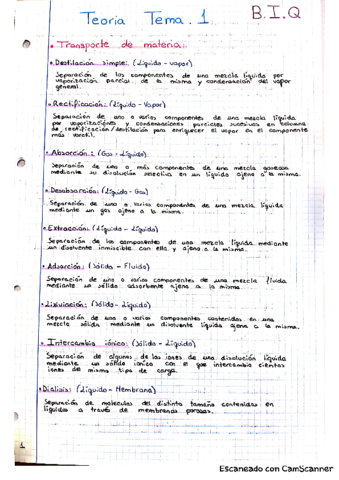 TEORIA-BIQ-II-TEMAS-1-6.pdf