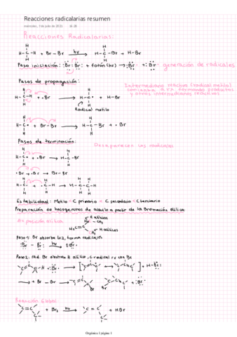 Reacciones-radicalarias-resumen.pdf