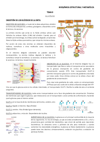 TEMA-9.pdf